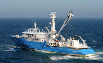 deep-freezer tuna purse seiner 1500m³