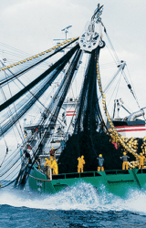 Delivery of the ‘Cap Bojador’, first tuna fishing boat